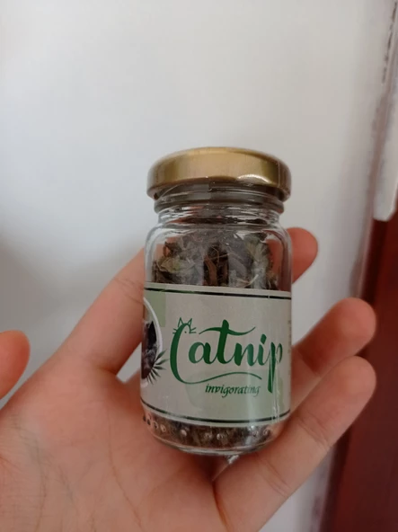 Catnip Doğal Kedi Otu - Kedi Nanesi - 2