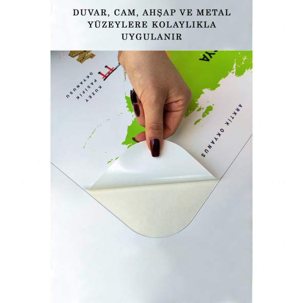 Eğitici ve Öğretici Detaylı Dekoratif Komşulu Türkiye Haritası Duvar Sticker 135 x 80 cm - 5