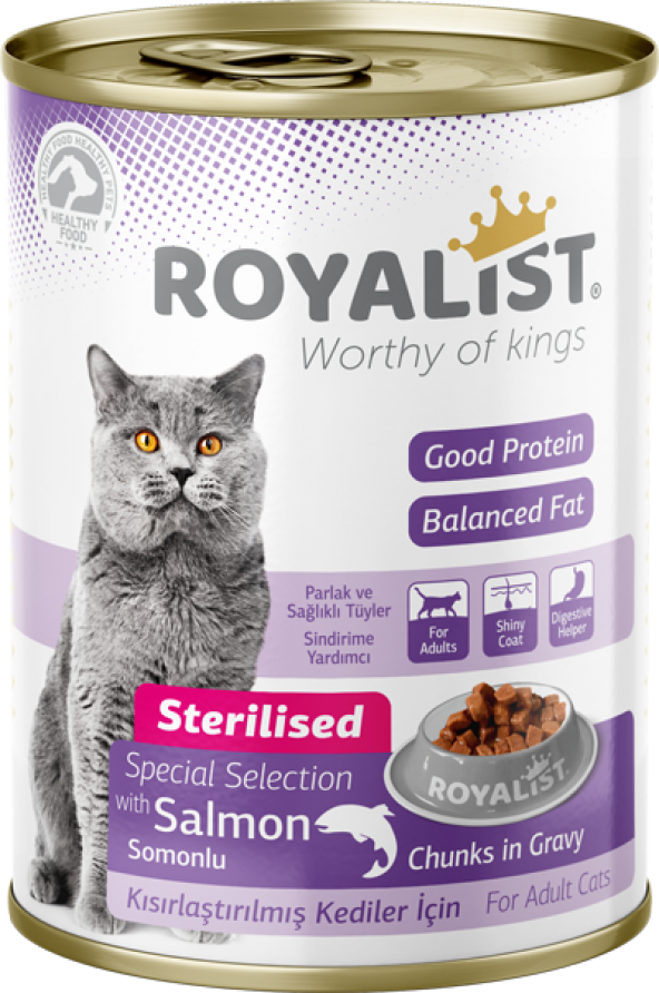 Kısır Kedi Konserve Somonlu 400 Gr x 12li Paket - 2