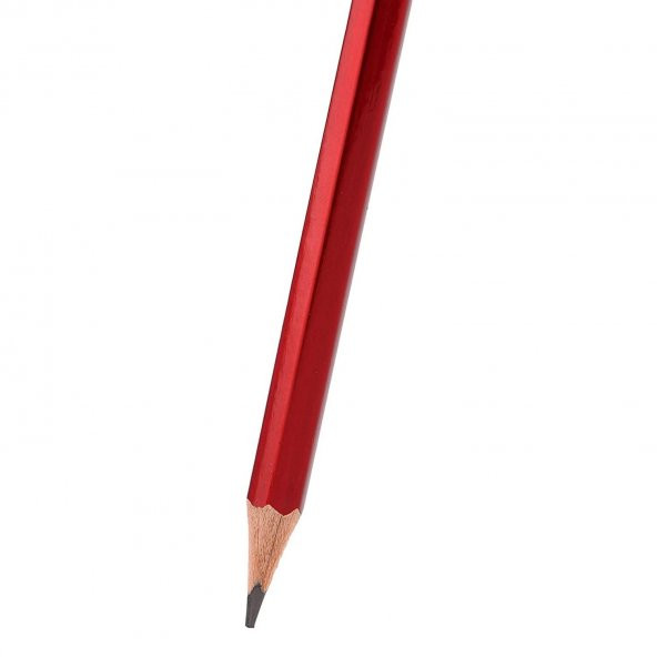Rotring Mercanlı Kurşun Kalem 12 Adet - 5