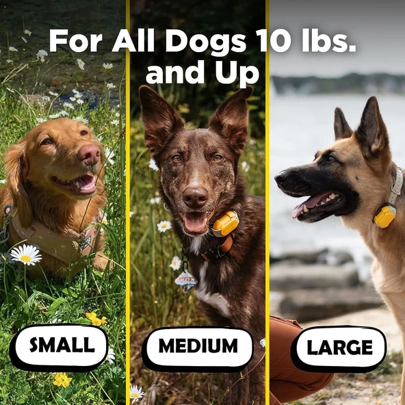 Dogtra CUE E-Yaka Su Geçirmez Şarj Edilebilir - Köpek Eğitim Tasması - 4