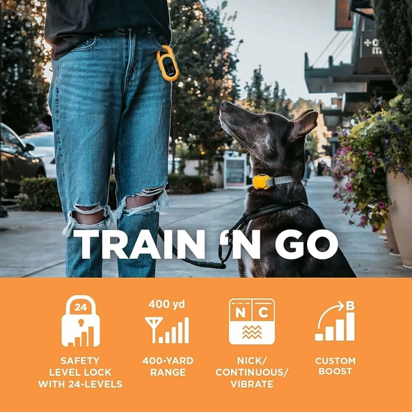 Dogtra CUE E-Yaka Su Geçirmez Şarj Edilebilir - Köpek Eğitim Tasması - 3