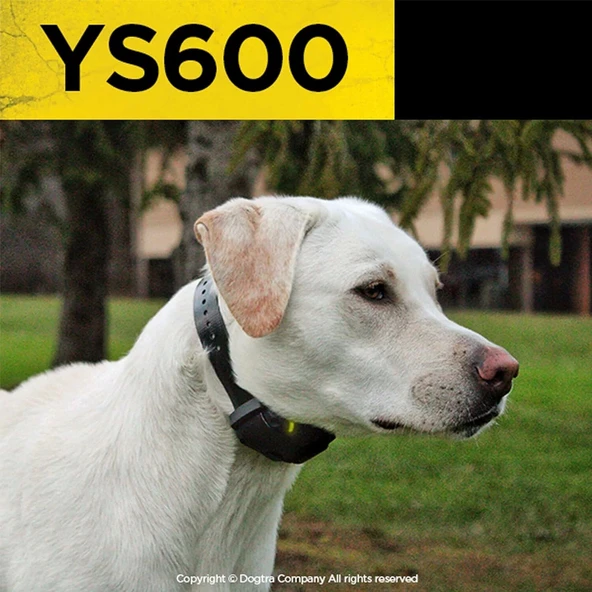 Dogtra YS600 Şarj Edilebilir Su Geçirmez Yüksek Çıkışlı Havlamayan Tasma - 4