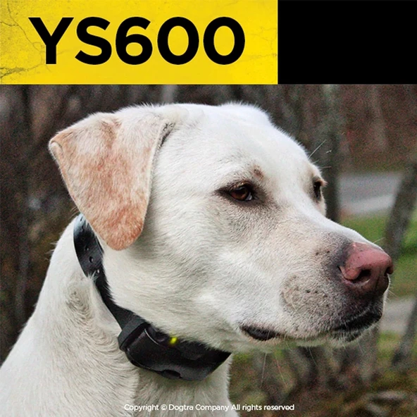 Dogtra YS600 Şarj Edilebilir Su Geçirmez Yüksek Çıkışlı Havlamayan Tasma - 3