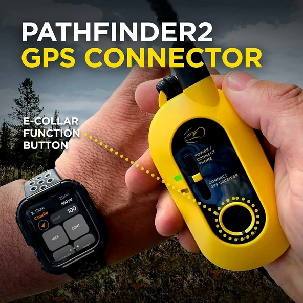 Dogtra Pathfinder 2 GPS Köpek Takip Cihazı ve Yaka LED Işık - 3