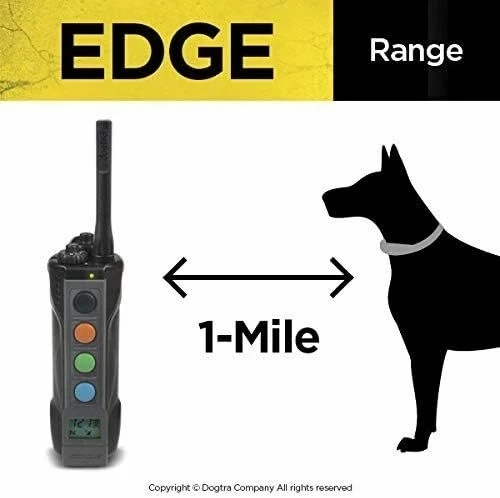 Dogtra Edge Uzun Menzilli Yüksek Çıkışlı Uzaktan Köpek Eğitimi - 4