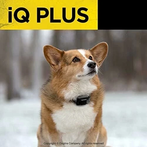 Dogtra iQ Plus Ek Alıcı Şarj Edilebilir Su Geçirmez Uzaktan Köpek Eğitimi - 3