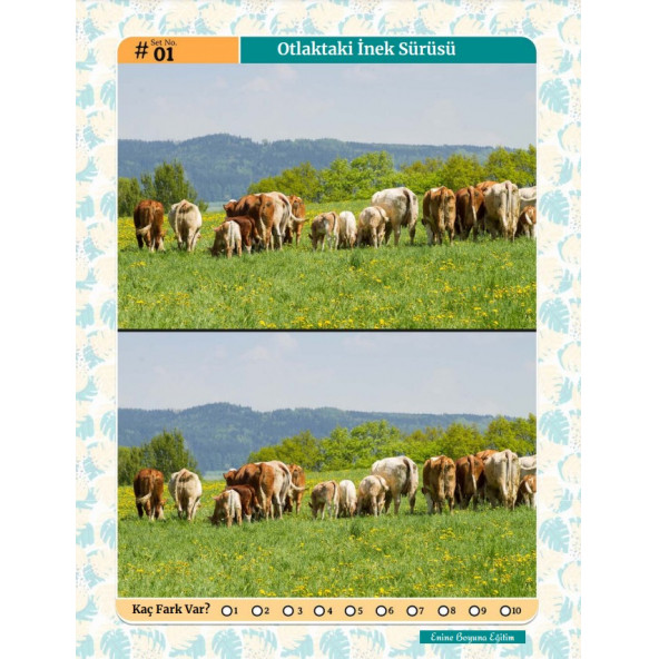 Herkes İçin Fark Bulma Kitabı- 50 Tam Sayfa Fark Bulma) - Resim 2