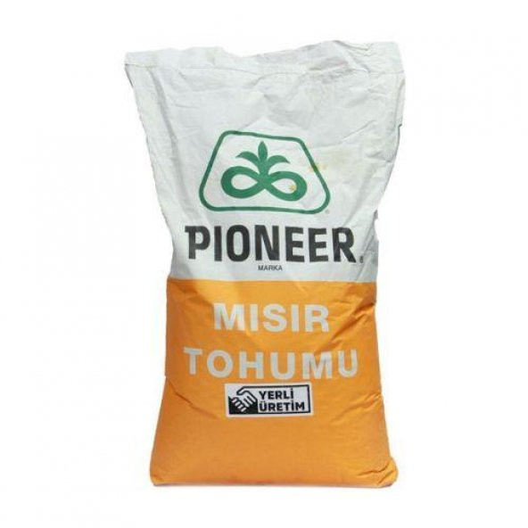 Pioneer Slaj Mısır Tohumu 31Y43