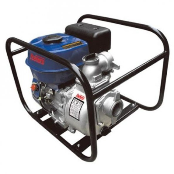 Palmera Pa20T Su Motoru 2'' - 2