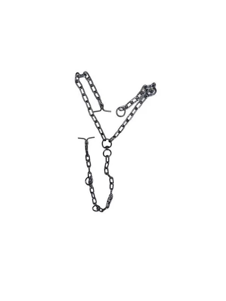 Çiftçiburada 6 mm 75x100 Besi Zinciri