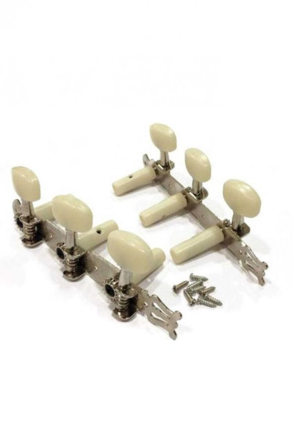 Gitar Aksesuar Klasik Burgu Takımı CGTG