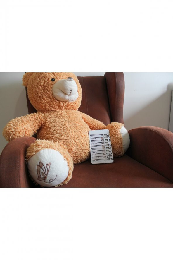 Güzel Ahlak Checklist Kontrol Listesi Eğitici Oyuncak Ahşap Yapılacaklar Listesi - 5