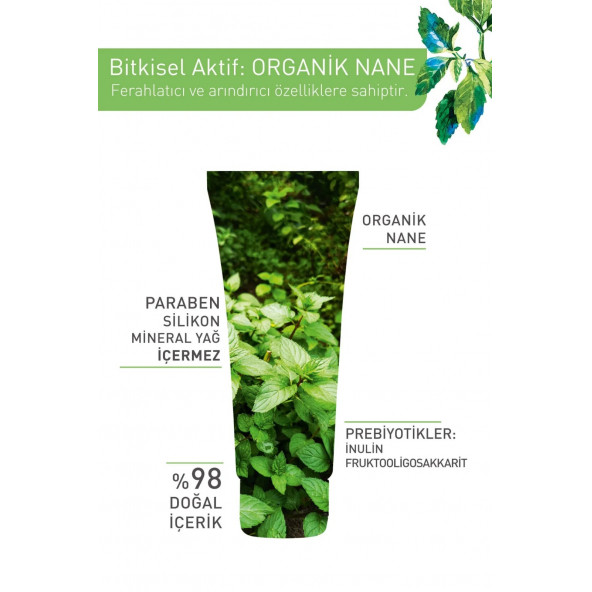 Karma Ve Yağlı Ciltler Için Pure Menthe Kil Maske-75 ml - 4
