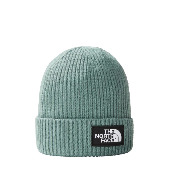 The North Face TNF LOGO BOX CUFFED Unisex Bere NF0A3FJXI0F1