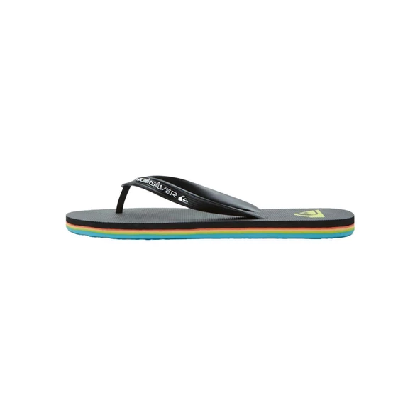 Quiksilver MOLOKAI CORE Erkek Terlik  AQYL101325-QK.KVJ2 - Resim 2