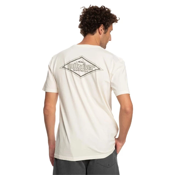 Quiksilver QUIKWORDS M TEES Erkek T-Shirt EQYZT07263-WDW0 - Resim 3