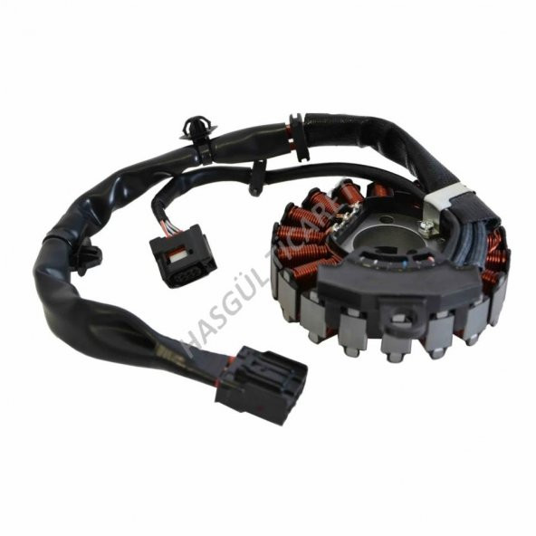Hsgl Motorsiklet Spacy 110  5 Çıkışlı Komple Statör Honda Spacy 110 KN72006 - 4