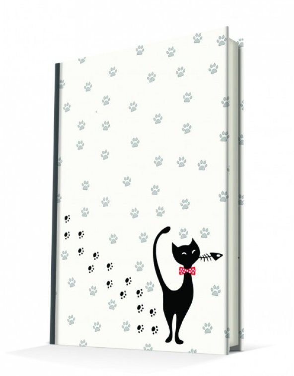 Deffter Aristocrat Cat  96 Yaprak Çizgili Sert Kapak Defter - 4