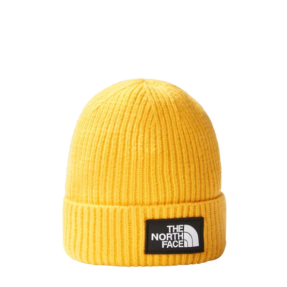 The North Face TNF LOGO BOX CUFFED Unisex Bere NF0A3FJX56P1