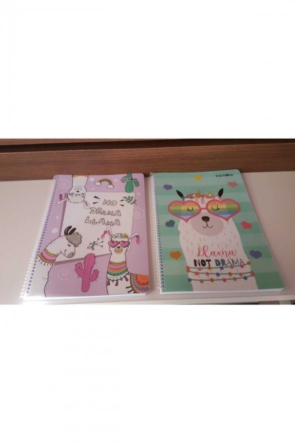 Çınar Dream Spiralli PP Kapak A4 72 Yaprak Çizgili Defter