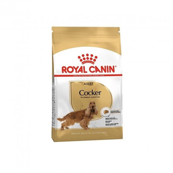 Royal Canin Cocker Adult Cocker Irkı Yetişkin Köpek Maması 3 Kg