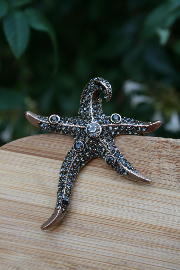 STONEAGE Deniz Yıldızı Bronz Broş Aksesuar - 3