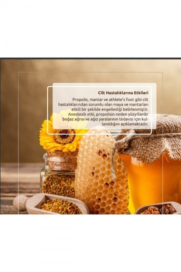 Propolis 60 Kapsul Ogansia. - 4