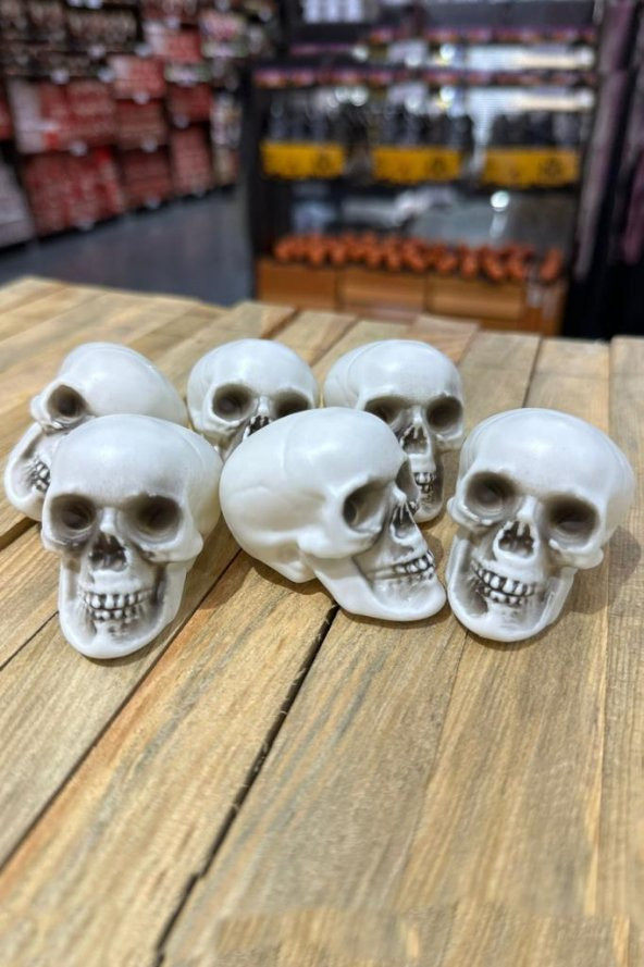 Beysüs Halloween Cadılar Bayramı Kuru Kafa 6 lı Beyaz