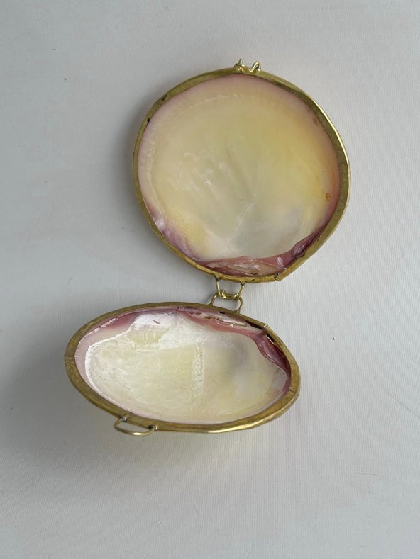Deniz Kabuğu Cüzdan 6,5 x 3 cm - Clam Kabuk Cüzdan - 3