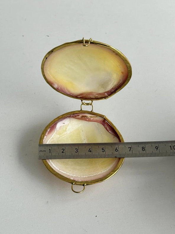 Deniz Kabuğu Cüzdan 6,5 x 3 cm - Clam Kabuk Cüzdan - 5