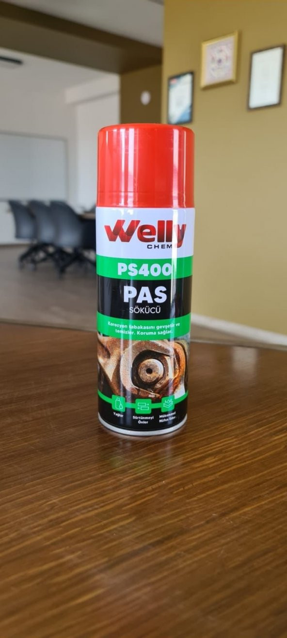 WELLY CHEM PAS SÖKÜCÜ 400 ML