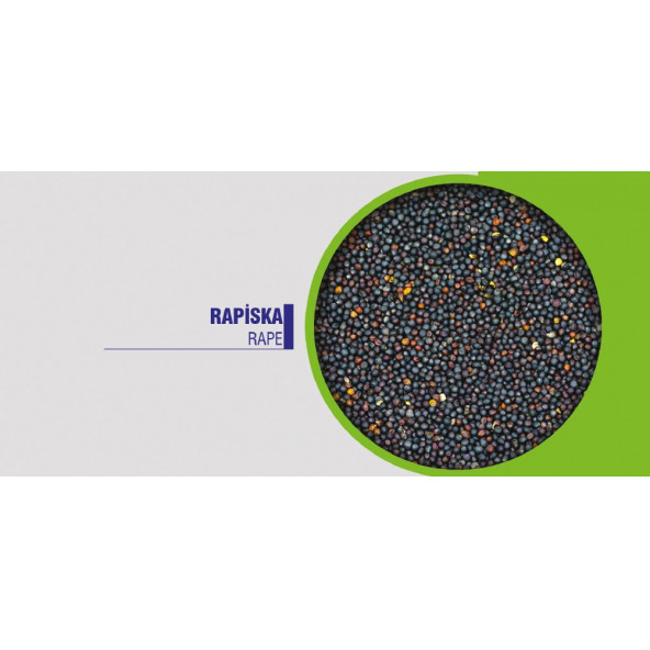 Akgün Kanola Rapiska Tohumu 1 kg - 2