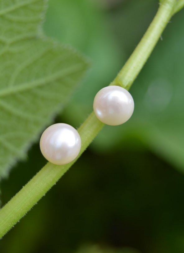 STONEAGE Beyaz İnci Doğal Taş Bayan Küpe ürün görseli