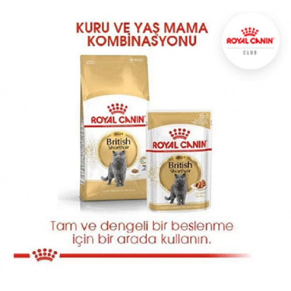 Royal Canin British Shorthair Adult Yetişkin Kedi Maması 4 kg