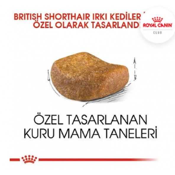Royal Canin British Shorthair Adult Yetişkin Kedi Maması 4 kg - 3