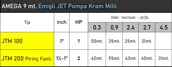 AMEGA JTM100 1 HP 220V 9 mt. Emişli Krom Milli Jet Pompa - Bakır Sargı - 2