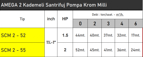 AMEGA SCM2-55 2 HP 220V Monofaze Çift 2 Kademeli Santrifüj Pompa - Bakır Sargı - 2