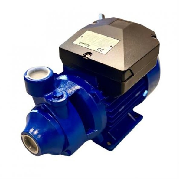 AMEGA TM45 0.5 HP 220V Preferikal Sürtme Fanlı Bronz Yataklı Krom Milli Su Pompası - Bakır Sargı