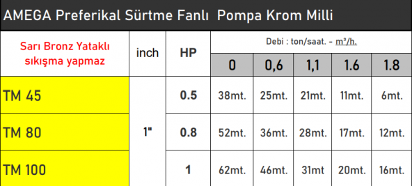 AMEGA TM45 0.5 HP 220V Preferikal Sürtme Fanlı Bronz Yataklı Krom Milli Su Pompası - Bakır Sargı - Resim 2