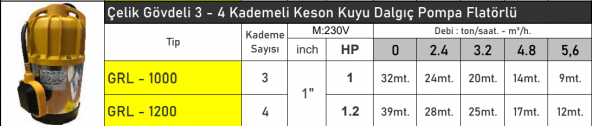 VORTEX GRL1200 1.2 HP Çelik Gövdeli Flatörlü 4 Kademeli Keson Kuyu Dalgıç Pompa - 2