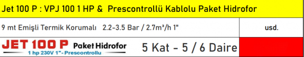 VORTEX Jet 100P 1 HP 5 Kat 6 Daire Termik Korumalı Paket Hidroforu - Kablolu Hidromatlı - Resim 2