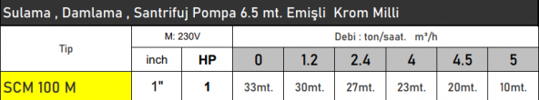 VORTEX SCM100 1 HP 220V Damlama Sulama Salyangoz Santrifüj Pompa - Bakır Sargı - 2