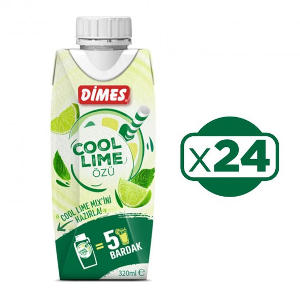 Dimes Cool Lime Özü 310 Ml 24 lü