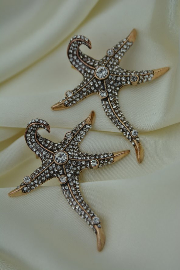 STONEAGE Deniz Yıldızı Zirkon Taşlı Bayan Küpe - Resim 6