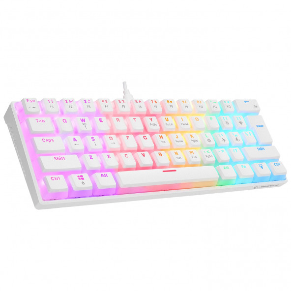 Radiant K11 Mekanik Klavye Type-C Bağlantı RGB Puding Tuş Blue Switch US Gaming Oyuncu Klavye - 8