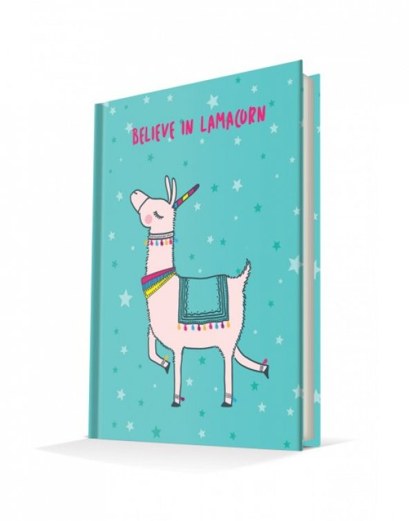 Deffter Lacamaron  96 Yaprak Çizgili Sert Kapak Defter - 3