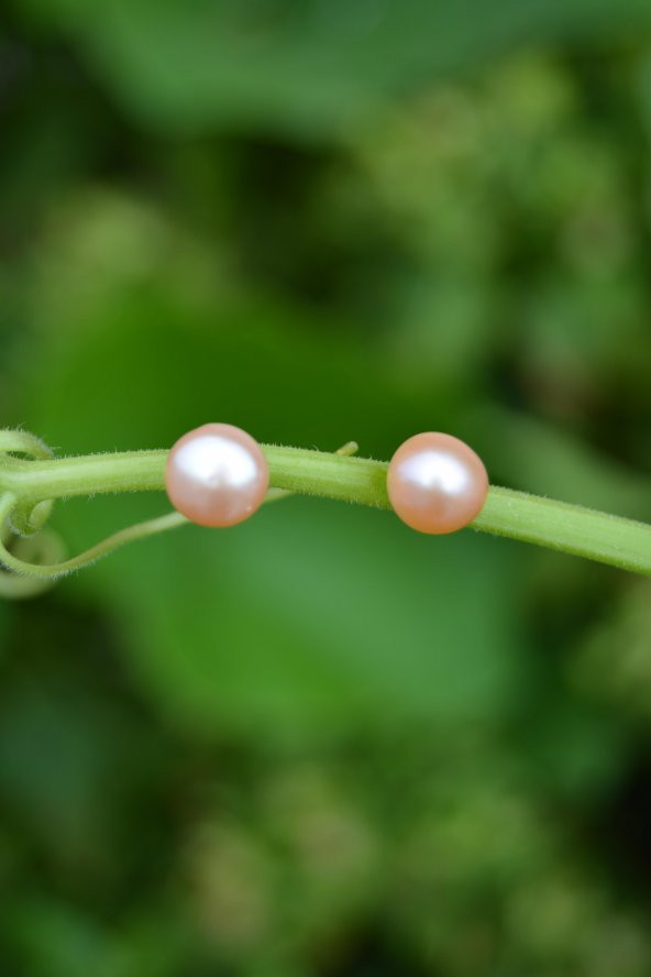 STONEAGE Pembe İnci Doğal Taş Bayan Küpe