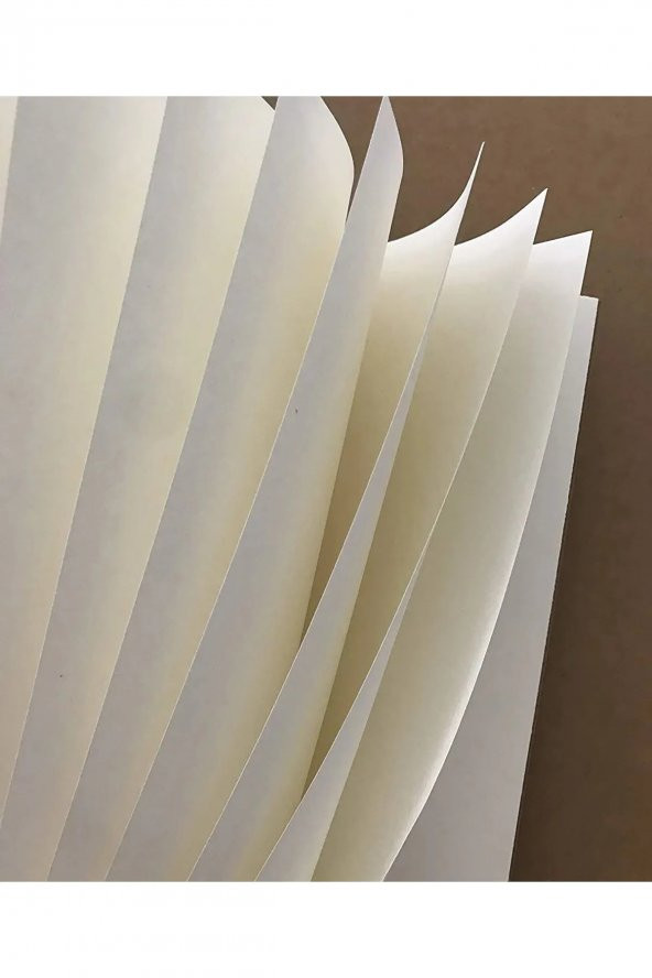 Hülya Mizgin Kurban Verene Desenli Spiralli A5 Çizgisiz Defter (200 Sayfa) - 2