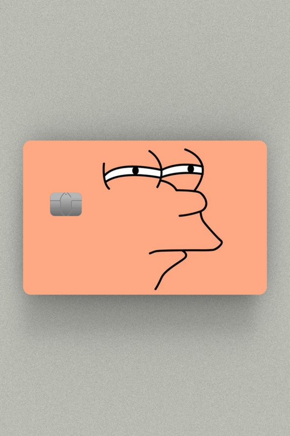 Futurama - Fry - HMM Çipli veya Çipsiz Kart, Kredi Kartı, Akbil Kaplama Stickerı